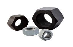 Nuts Manufacturer in India Nuts Manufacturer in India