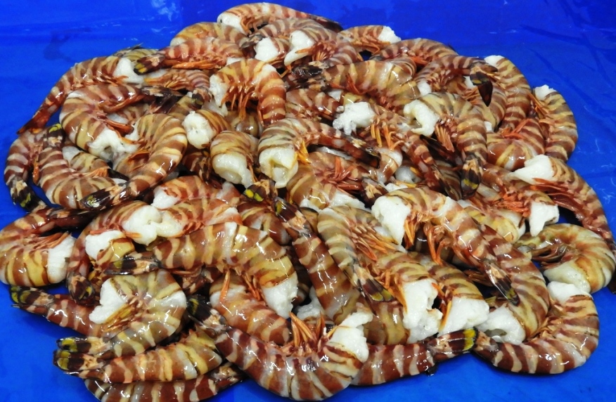 Headless Bamboo Flower Shrimps & Prawns K V Marine Exports,Chennai